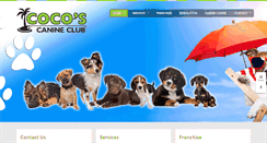 Desktop Screenshot of cocosdoggydaycare.com